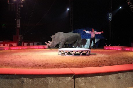 circus-krone