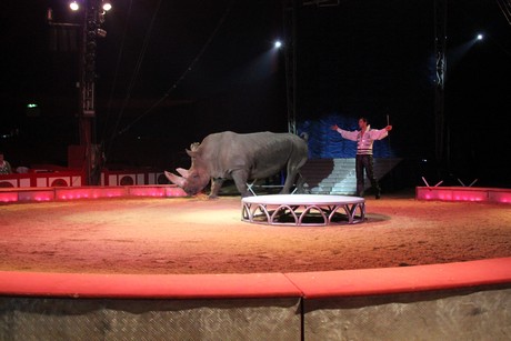 circus-krone