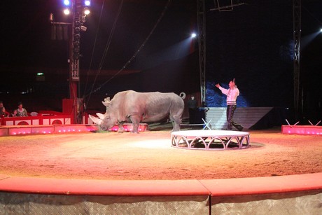 circus-krone
