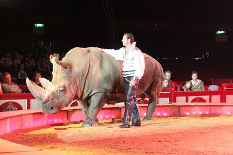 circus-krone