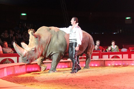 circus-krone