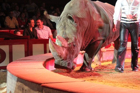 circus-krone