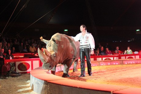 circus-krone