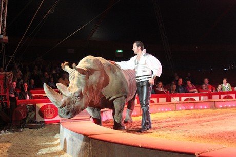 circus-krone