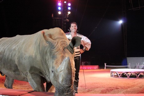 circus-krone