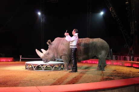 circus-krone