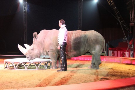 circus-krone