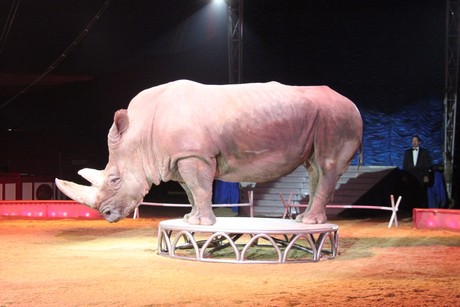 circus-krone