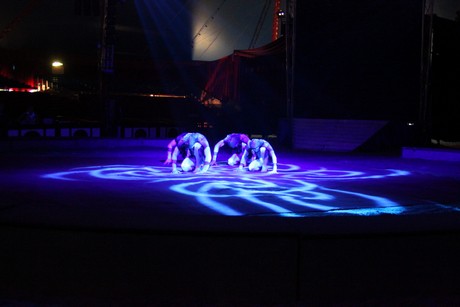 circus-krone