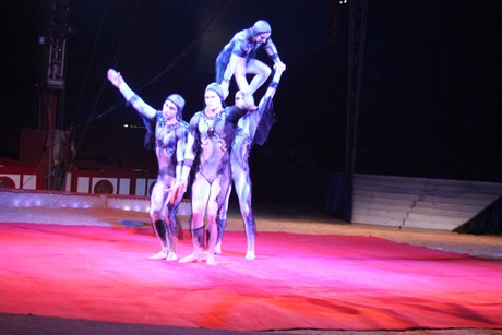 circus-krone