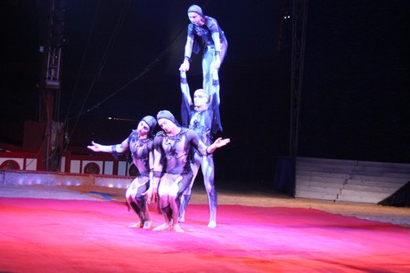 circus-krone