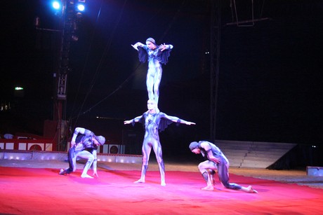 circus-krone