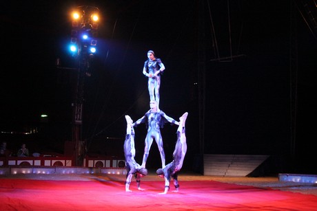 circus-krone