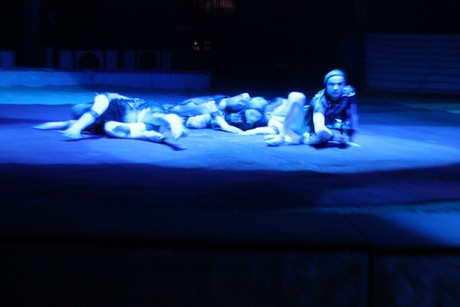 circus-krone