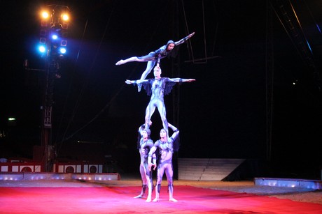 circus-krone