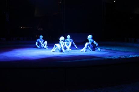 circus-krone