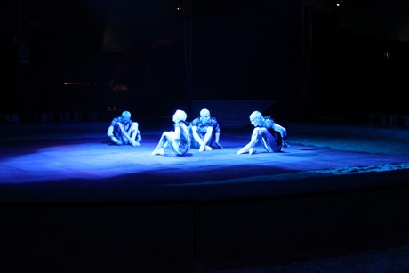 circus-krone