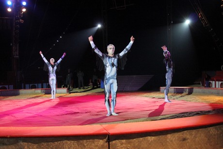 circus-krone