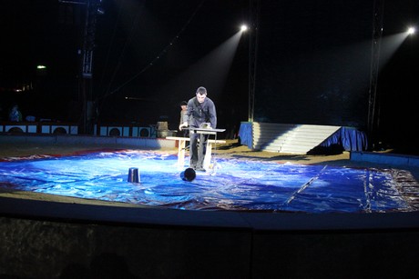 circus-krone