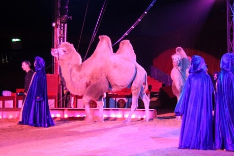 circus-krone