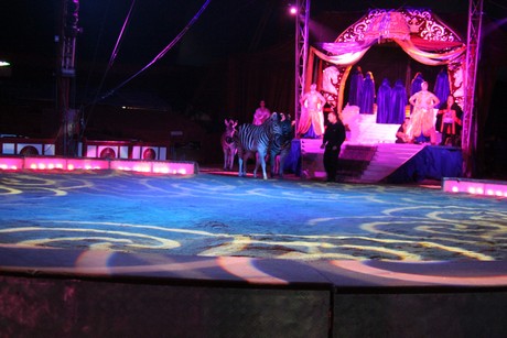 circus-krone