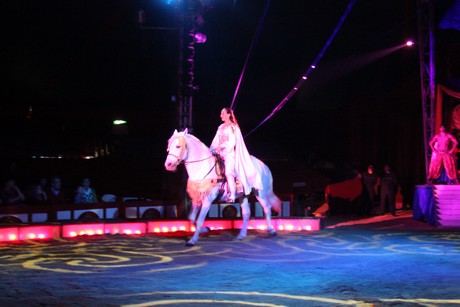 circus-krone