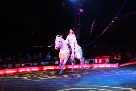 circus-krone