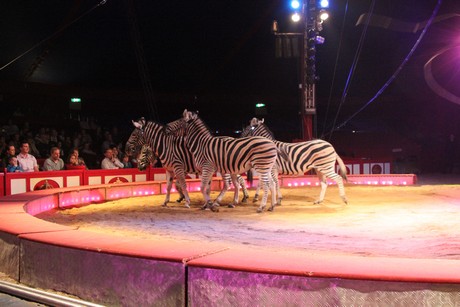 circus-krone