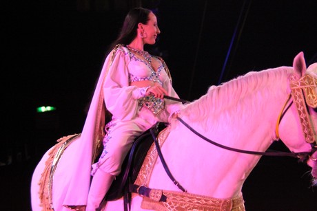 circus-krone