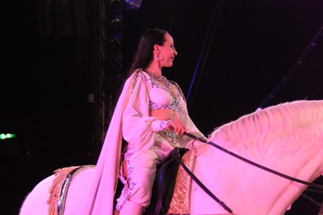 circus-krone
