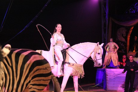 circus-krone