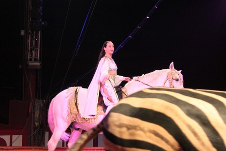 circus-krone