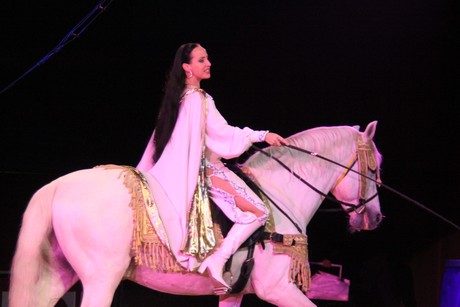 circus-krone