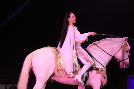 circus-krone