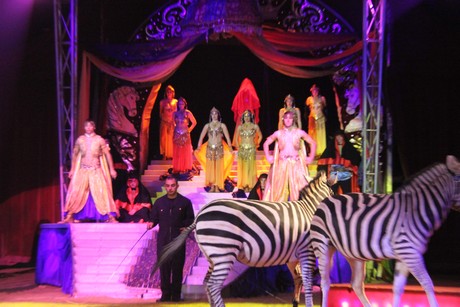 circus-krone