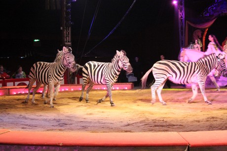 circus-krone