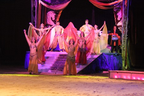 circus-krone