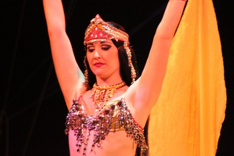 circus-krone
