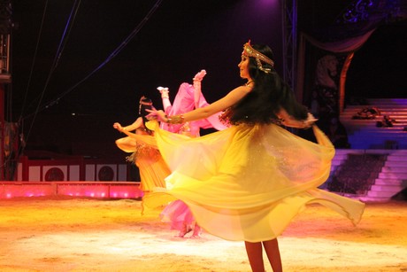 circus-krone