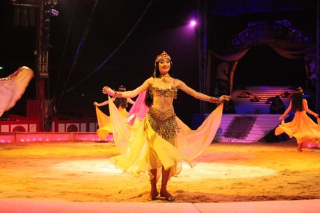 circus-krone