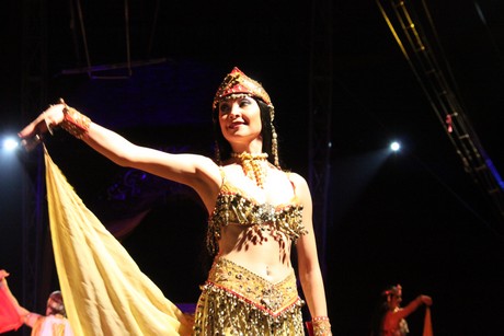 circus-krone