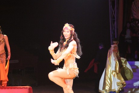 circus-krone