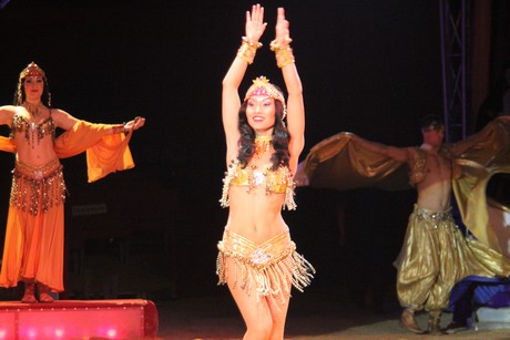 circus-krone