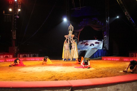 circus-krone