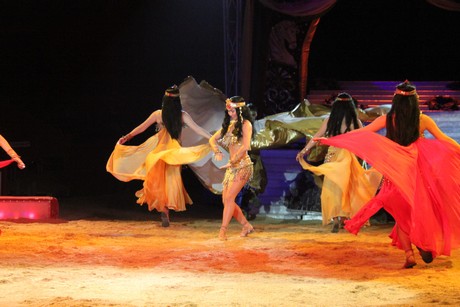 circus-krone
