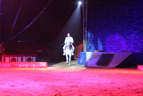 circus-krone