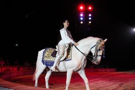 circus-krone