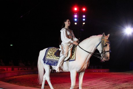 circus-krone