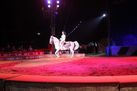 circus-krone