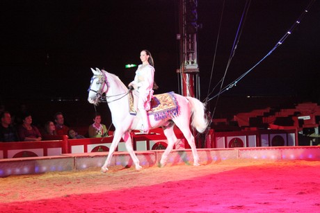 circus-krone